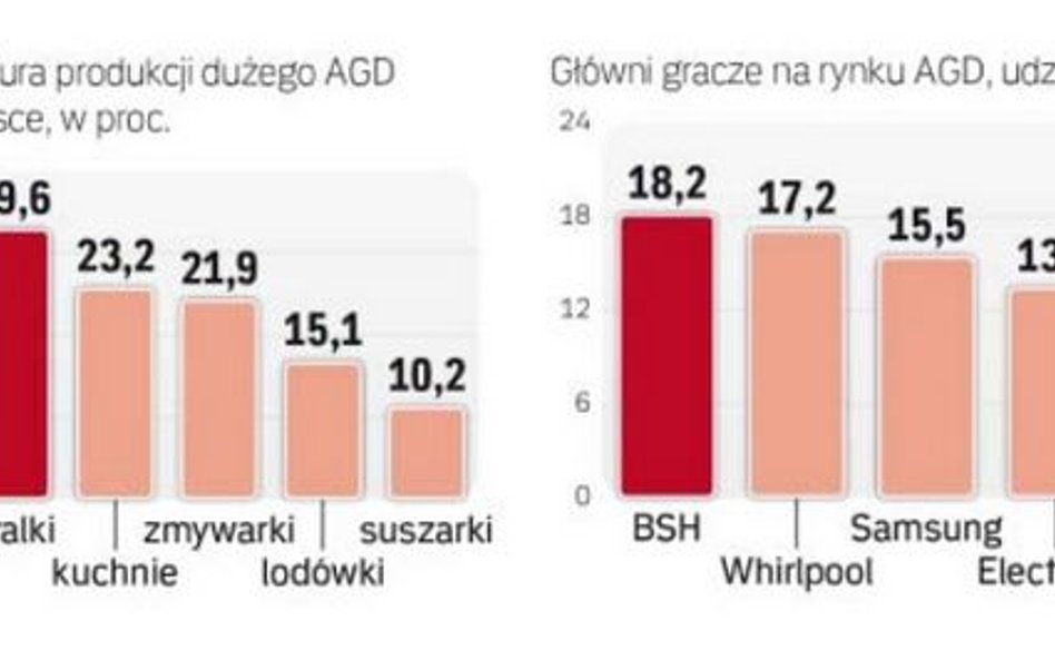 Polska już od kilku lat jest największym producentem AGD w Europie.
