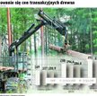 Przemysł drzewny obawia się liberalizacji rynku
