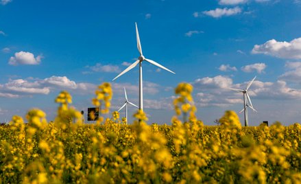 Spółki energetyczne narzekają na wysokie ceny produktów OZE. Według niektórych deweloperów jest to p