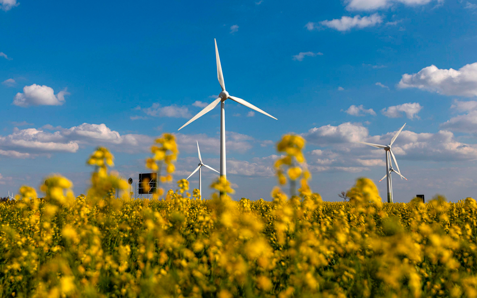 Spółki energetyczne narzekają na wysokie ceny produktów OZE. Według niektórych deweloperów jest to p