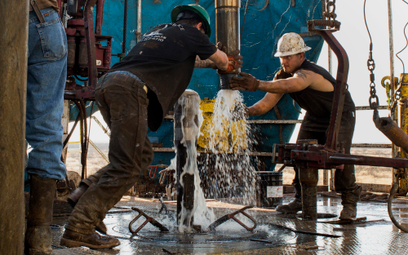Delta zmniejszy popyt na ropę, OPEC optymista