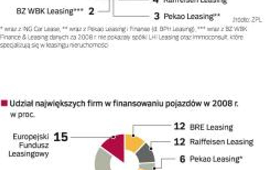 UDZIAŁ NAJWIĘKSZYCH FIRM W FINANSOWANIU nieruchomości W 2008 ROKU