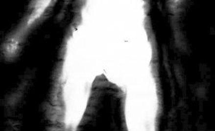 Jiři Sigut, „Próba snu”, 21–22.07.1992. Fotogram, rozmiar rzeczywisty, 201 x 107 cm