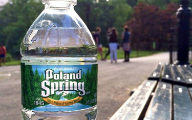 Nestlé stanie przed sądem w sprawie wody Poland Spring