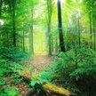 Szwajcarski miliarder chce ratować naszą planetę. Daje miliard dolarów