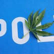 Legalna marihuana medyczna. Jak podchodzi do niej policja