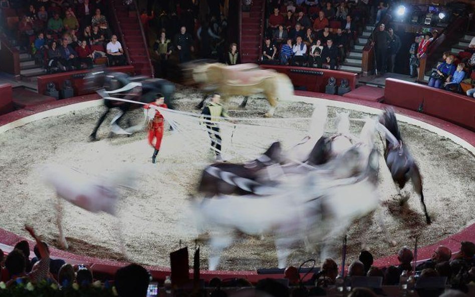 Akrobaci opanowali Budapeszt