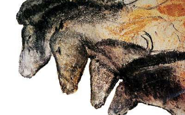 Malowidła w Jaskinii Chauvet