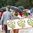 Nadchodzi załamanie pogody. Przed nami chłodny i deszczowy weekend