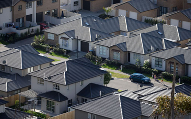 Osiedle domów na przedmieściach Auckland w Nowej Zelandii