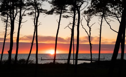 Ruszyły nabory wniosków na ponadregionalne projekty dla Południowego Bałtyku