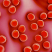 Gronkowiec MRSA to wciąż najbardziej rozpowszechniona bakteria odporna na antybiotyki