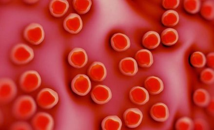 Gronkowiec MRSA to wciąż najbardziej rozpowszechniona bakteria odporna na antybiotyki