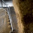 Producenci zbóż szacują, że tylko w tym roku nadwyżka zbóż może wynieść 8–10 mln ton.
