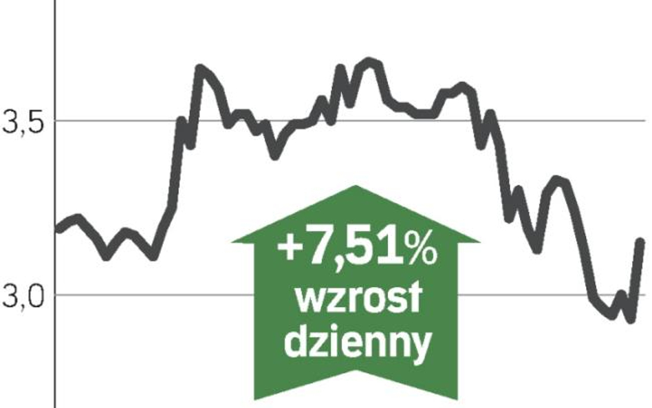 Duży wzrost po rekordzie sprzedaży