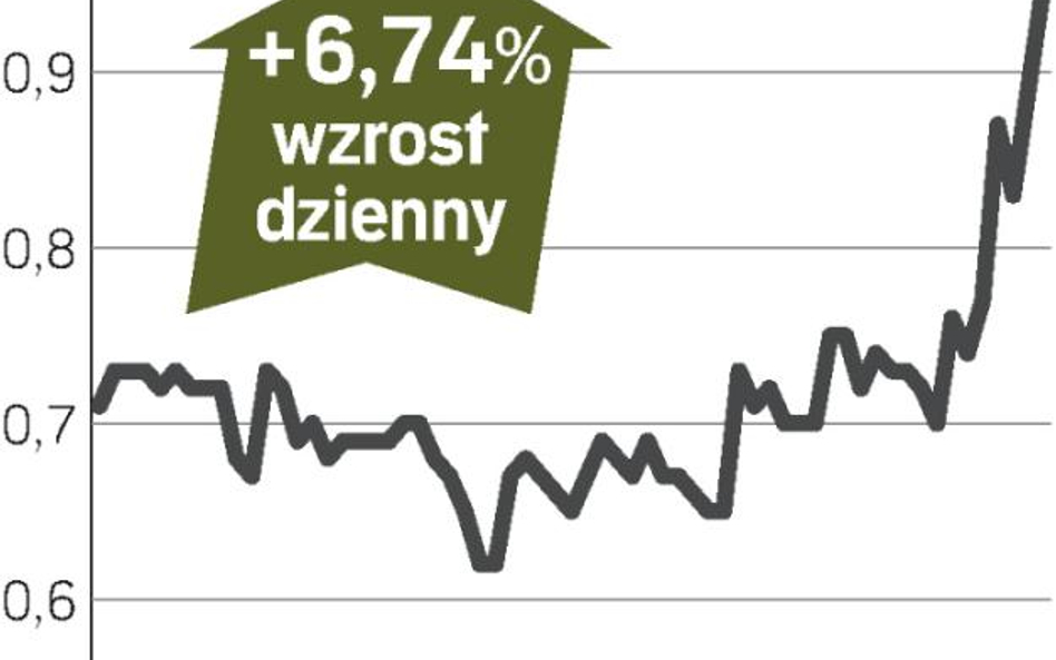 Dotacje zachęciły do zakupów