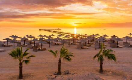 Pierwsi klienci biura podróży Coral Travel polecą z Lublina do Marsa Alam 23 grudnia
