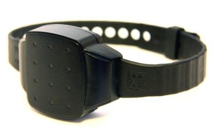 Skazani w bransoletach