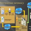 Przetwarzanie informacji