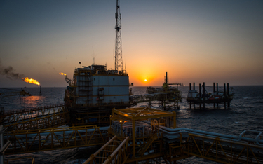 OPEC+ czeka na „czarne łabędzie”