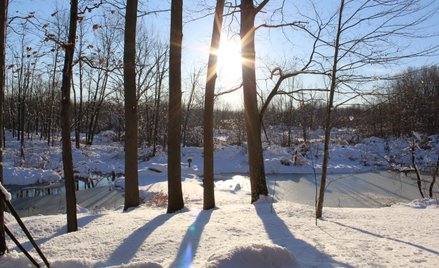 Trzeci tydzień lutego zapowiada się mroźnie