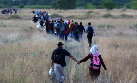 Polacy chcą pomagać imigrantom