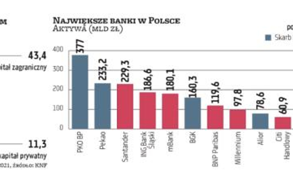 Trzy role państwa w sektorze bankowym niosą ze sobą ryzyko