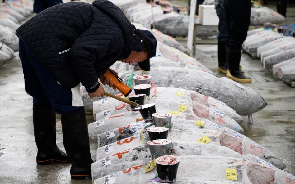 Pierwsza aukcja tuńczyna w 2018 roku na rynku Tsukiji