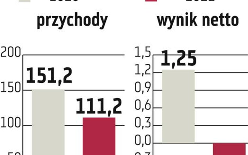 B3System: Firma może wrócić do wyników z 2010 r.