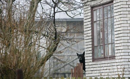 Wyjeżdżający do Niemiec nie odzyskają gospodarstw