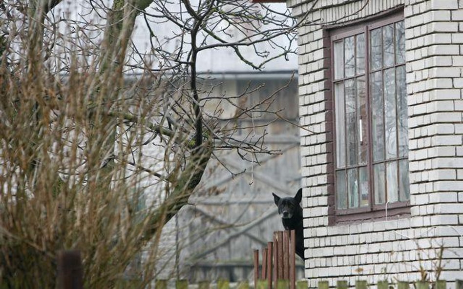 Wyjeżdżający do Niemiec nie odzyskają gospodarstw