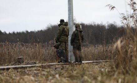 Żołnierze na granicy z Białorusią
