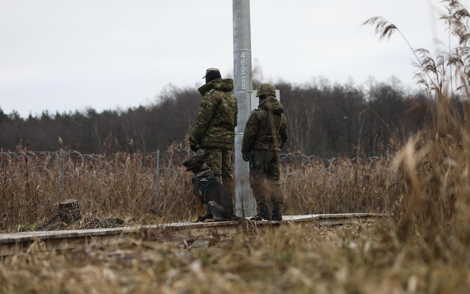 Żołnierze na granicy z Białorusią