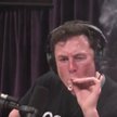 Elon Musk zapalił marihuanę na wizji