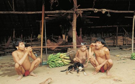 Halucynogenny proszek epená stanowi część magicznego rytuału.