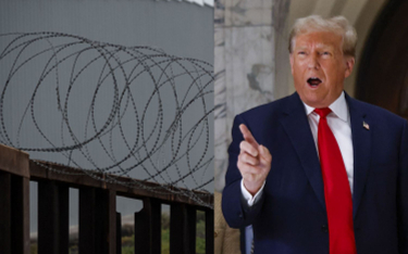 Zapowiedź budowy muru na granicy była jedną z głównych obietnic wyborczych Donalda Trumpa w 2016 rok