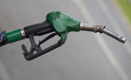 Więcej rzepaku w baku samochodu