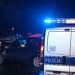 IBRiS spytał o wprowadzenie kategorii "zabójstwa drogowego"