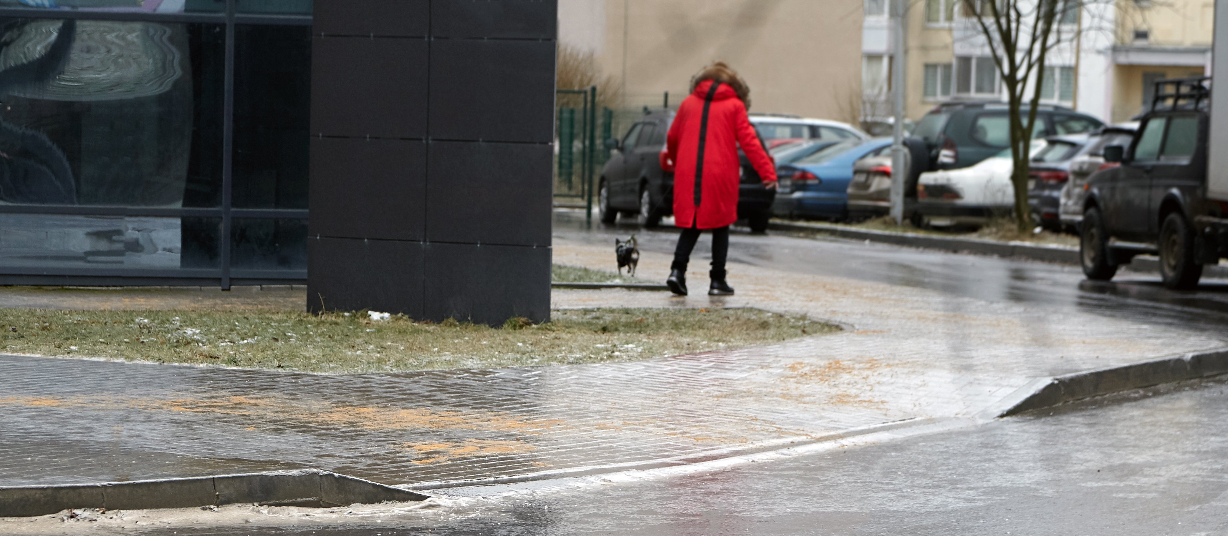 Miasta na lodzie. Gołoledź wystawiła samorządy na ciężką próbę