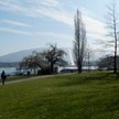 Genewa: Dwa ataki w miejskim parku mogą mieć podłoże homofobiczne