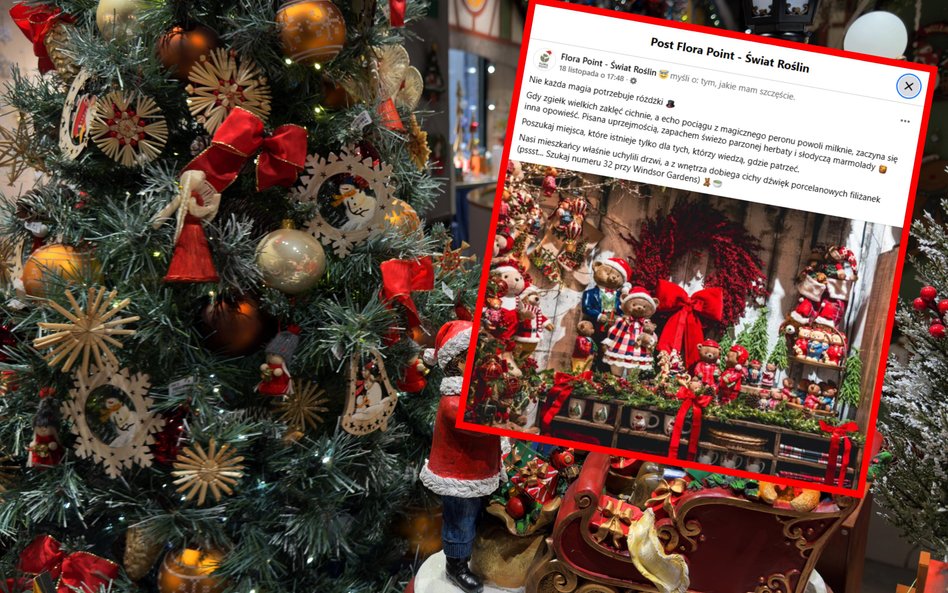 Jeden ze sklepów w Warszawie pobiera opłaty za oglądanie świątecznej wystawy