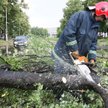 Gwałtowne burze przeszły nad Polską