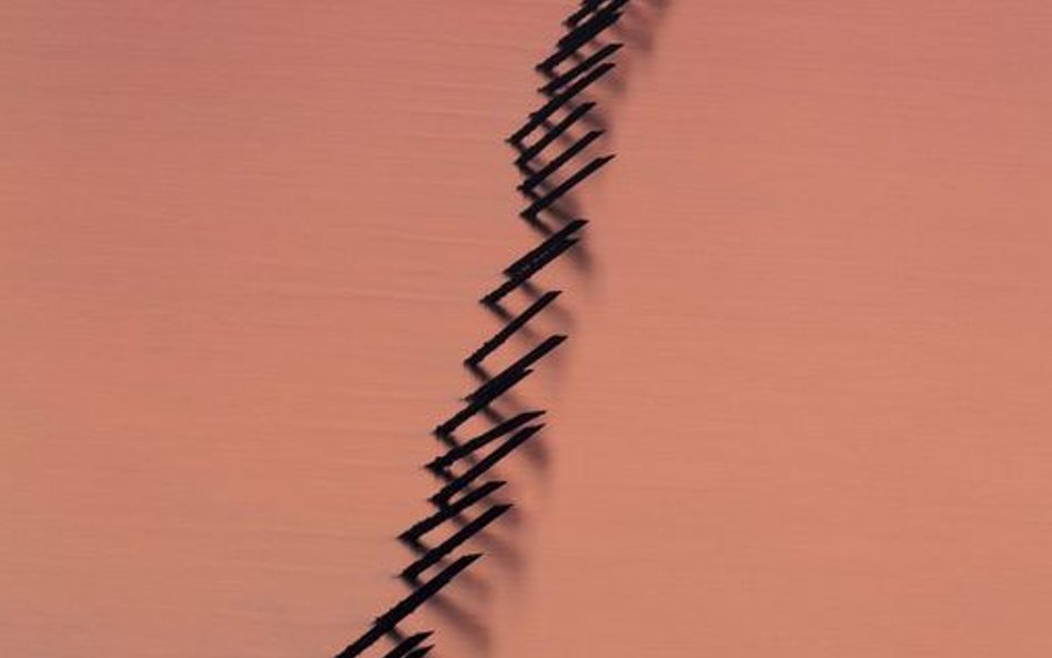 Wystawa Imaging Korea - Poza ludźmi, krainą i czasem/ Park Jongwoo