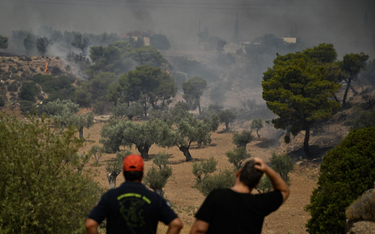 Fala upałów doprowadziła do pożarów m.in. w Grecji