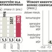 Po półroczu tempo wzrostu kredytów brutto sektora niefinansowego wynosiło w skali roku 4,6 proc., co