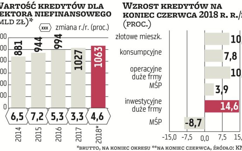 Po półroczu tempo wzrostu kredytów brutto sektora niefinansowego wynosiło w skali roku 4,6 proc., co