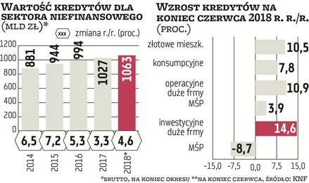 Po półroczu tempo wzrostu kredytów brutto sektora niefinansowego wynosiło w skali roku 4,6 proc., co