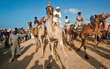 Beduini, którzy stanowią jedną z atrakcji turystycznych Synaju, mogą być również bardzo niebezpieczn