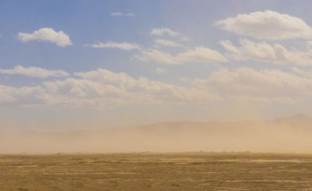 Saharyjski pył nad Polską