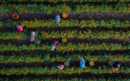 Prowincja Sukhothai w Tajlandii